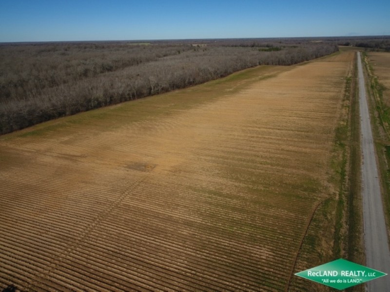 300 ac - Irrigated Farm Land with Woods featured image