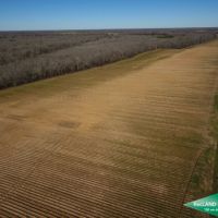 300 ac - Irrigated Farm Land with Woods