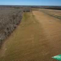 300 ac - Irrigated Farm Land with Woods images 2