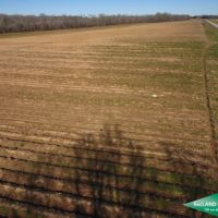 300 ac - Irrigated Farm Land with Woods images 4