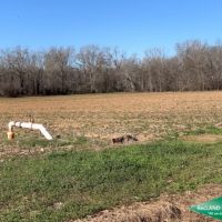 300 ac - Irrigated Farm Land with Woods images 5
