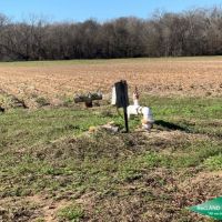 300 ac - Irrigated Farm Land with Woods images 6