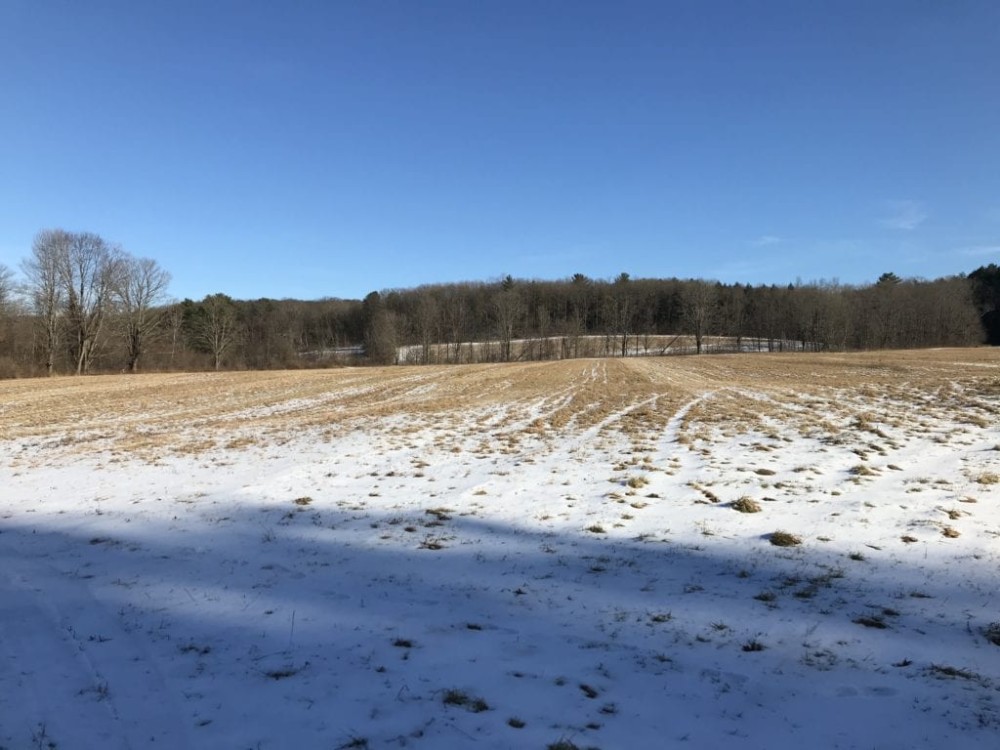 108 acres Farmland and Hunting Land in Windsor NY 50 Dire Road featured image