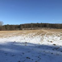 108 acres Farmland and Hunting Land in Windsor NY 50 Dire Road