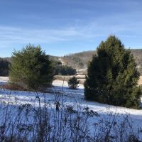 108 acres Farmland and Hunting Land in Windsor NY 50 Dire Road images 2
