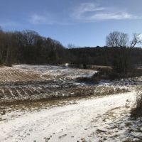 108 acres Farmland and Hunting Land in Windsor NY 50 Dire Road images 3