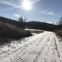 108 acres Farmland and Hunting Land in Windsor NY 50 Dire Road images 5