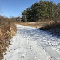 108 acres Farmland and Hunting Land in Windsor NY 50 Dire Road images 6