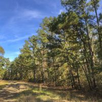 20 Acres &nbsp; New Waterwood &nbsp; T-12B images 6