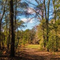 Belcher Branch images 4