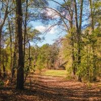 Belcher Branch images 6