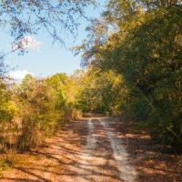Belcher Branch images 2