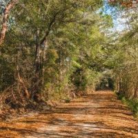 Belcher Branch images 5
