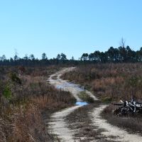 Flat Creek images 3