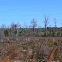 Flat Creek images 5