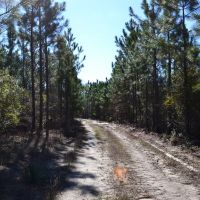 Flat Creek