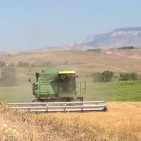 79 Acre Hay Farm  Northern Wyoming images 3