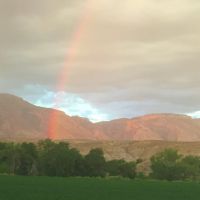 79 Acre Hay Farm  Northern Wyoming images 2