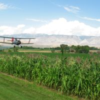 79 Acre Hay Farm  Northern Wyoming images 5
