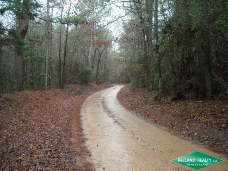 22.6 ac - Timber Tract with Home Site Potential featured image
