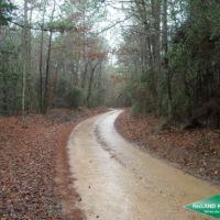 22.6 ac - Timber Tract with Home Site Potential