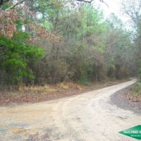 22.6 ac - Timber Tract with Home Site Potential images 2