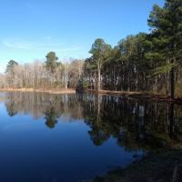 Big Buck Retreat