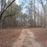 Big Buck Retreat images 2