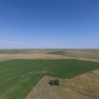 Norton County Farm  amp  Ranch images 4