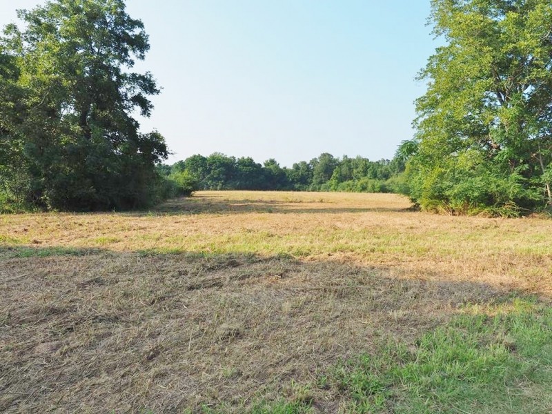 80 Acres Land for Sale Prentiss  Jeff Davis Co  Southwest MS featured image