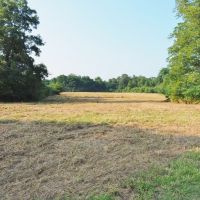 80 Acres Land for Sale Prentiss  Jeff Davis Co  Southwest MS