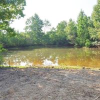 80 Acres Land for Sale Prentiss  Jeff Davis Co  Southwest MS images 2