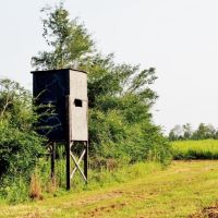 80 Acres Land for Sale Prentiss  Jeff Davis Co  Southwest MS images 3