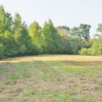 80 Acres Land for Sale Prentiss  Jeff Davis Co  Southwest MS images 4