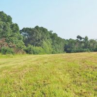 80 Acres Land for Sale Prentiss  Jeff Davis Co  Southwest MS images 6