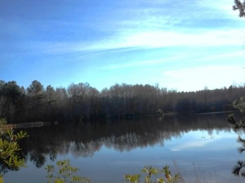 Brinson Pond featured image