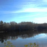 Brinson Pond