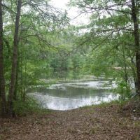 Brinson Pond images 4