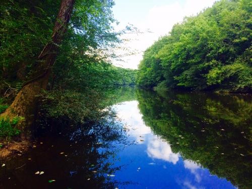 Muller Lake Partnership featured image