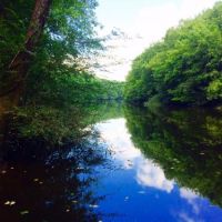Muller Lake Partnership