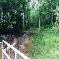 Muller Lake Partnership images 4