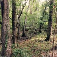 Muller Lake Partnership images 5