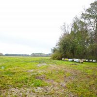 Duncan Hand Farm images 2