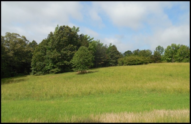 281 Acres in Yalobusha County in Oakland  MS featured image