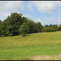 281 Acres in Yalobusha County in Oakland  MS