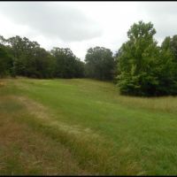 281 Acres in Yalobusha County in Oakland  MS images 2