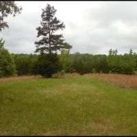 281 Acres in Yalobusha County in Oakland  MS images 3