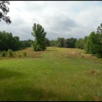 281 Acres in Yalobusha County in Oakland  MS images 4