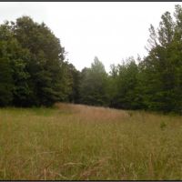 281 Acres in Yalobusha County in Oakland  MS images 5