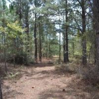 Sugar Creek images 2